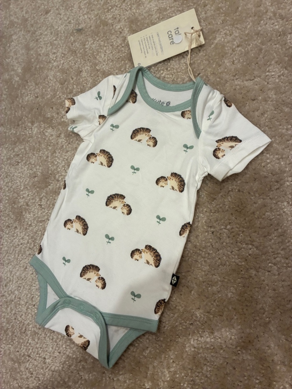 🆕 KYTE Baby Hedgehog Print Onesie